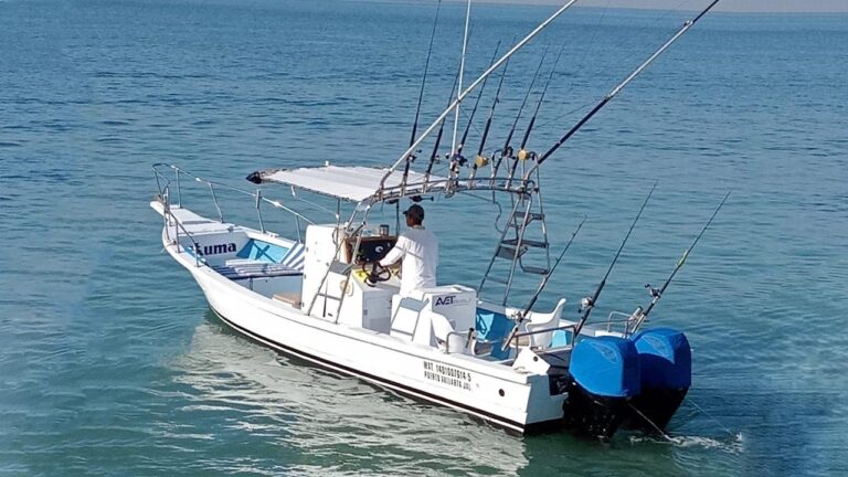 Discover top-notch yacht rentals and boat charters in Puerto Vallarta. From luxury yachts to fishing charters and overnight stays, experience the best on the water.
